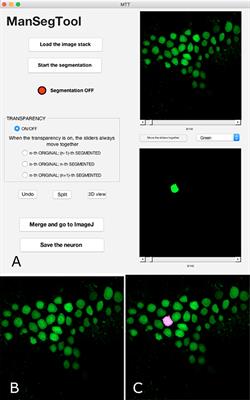 A Manual Segmentation Tool for Three-Dimensional Neuron Datasets